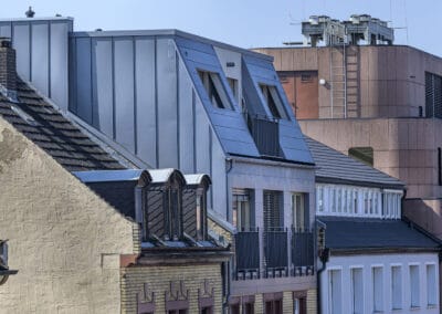Dach mit Stehpfalztechnik und glatter Blechfassade